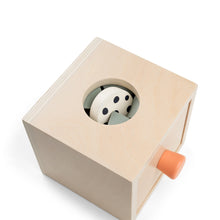 Load image into Gallery viewer, Done by Deer Nozo Hide and Find Box