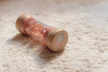 Load image into Gallery viewer, Little Dutch Fairy Garden Rain Rattle