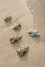 Load image into Gallery viewer, Turtles made of sand on the beach with the mould
