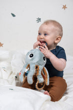 Load image into Gallery viewer, Activity Toy Jelly - Blue Done by deer sensory