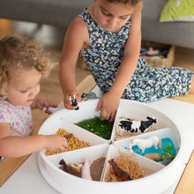 Load image into Gallery viewer, PlayTRAY with Lid and Compartments by Inspire my Play