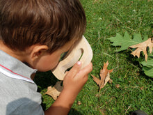 Load image into Gallery viewer, Easy Hold Magnifier