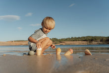 Load image into Gallery viewer, Child playing with shells on a sandy beach
