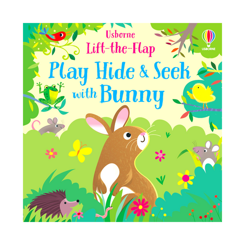 Play Hide and Seek with Bunny book