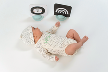Load image into Gallery viewer, Taf Toys My First Tummy Time Cards
